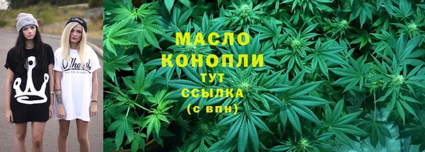 дмт Нягань