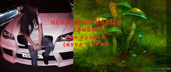 дурь Алексин