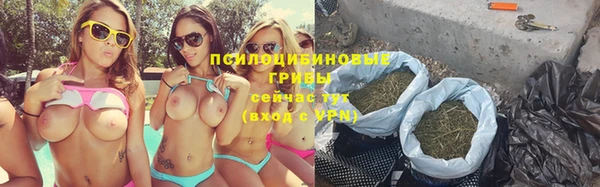 дурь Алексин