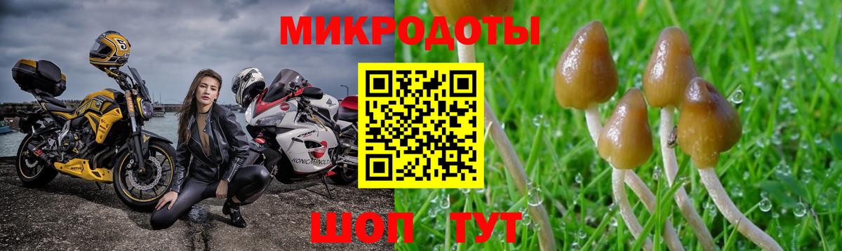 Галлюциногенные грибы GOLDEN TEACHER  купить наркоту  Черемхово  Вход с VPN  Псилоцибиновые грибы GOLDEN TEACHER 
